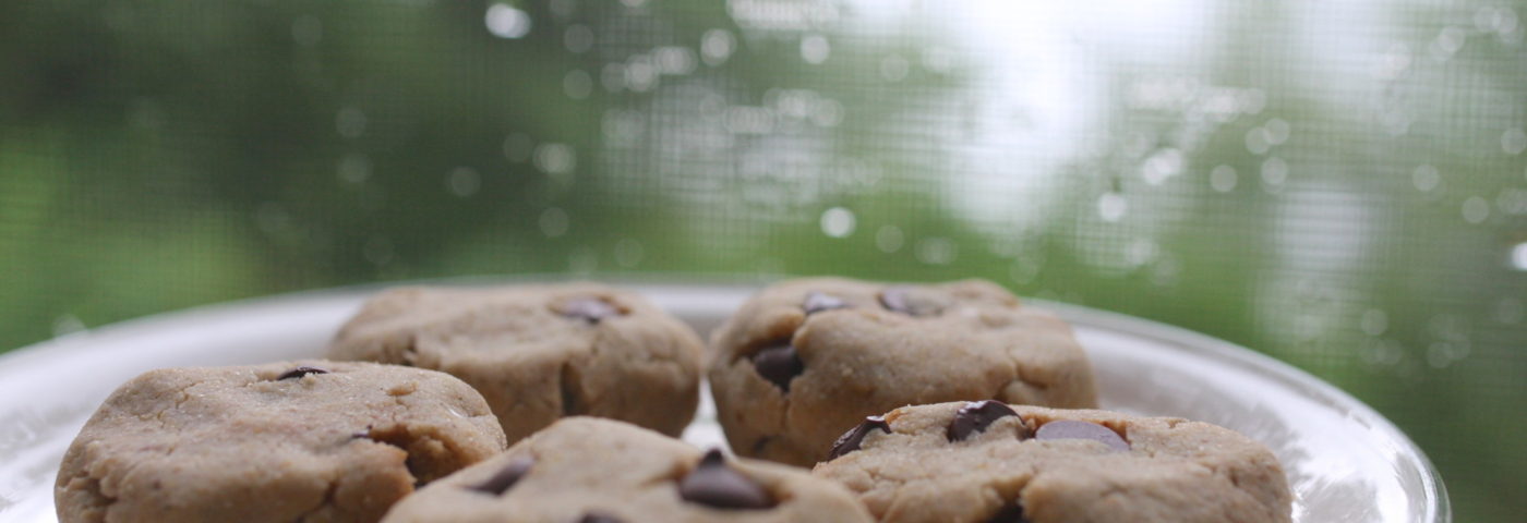 chocolate chip cottage cookies