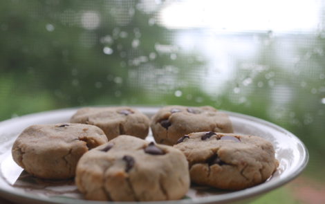 chocolate chip cottage cookies
