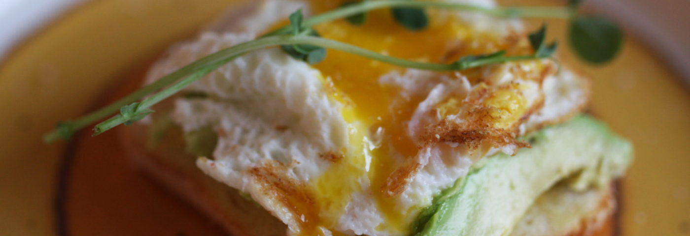 avocado & egg on toast