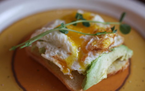 avocado & egg on toast