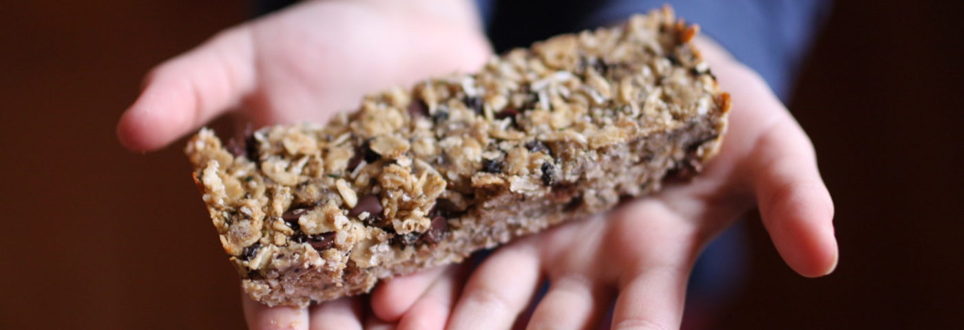 seed granola bars